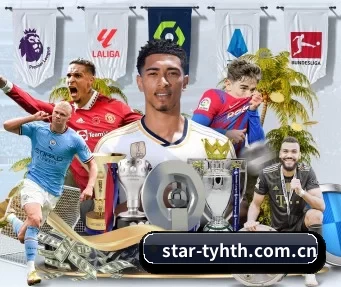 star-tyhth.com.cn APP 界面