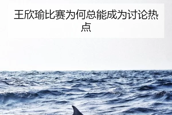 王欣瑜比赛为何总能成为讨论热点