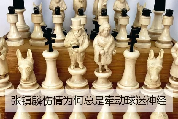 张镇麟伤情为何总是牵动球迷神经